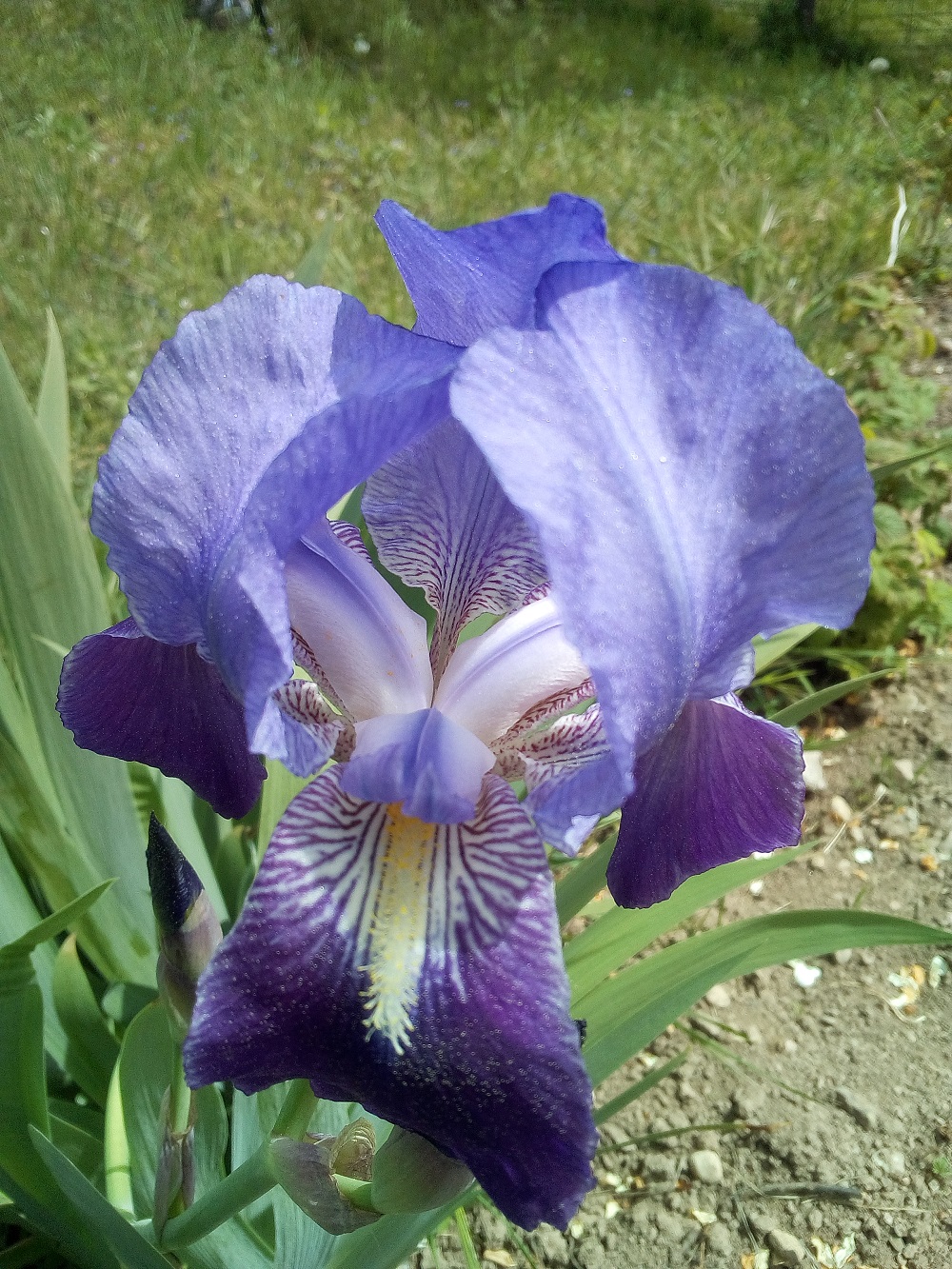 Annexe IMG_20200421_134728.jpg