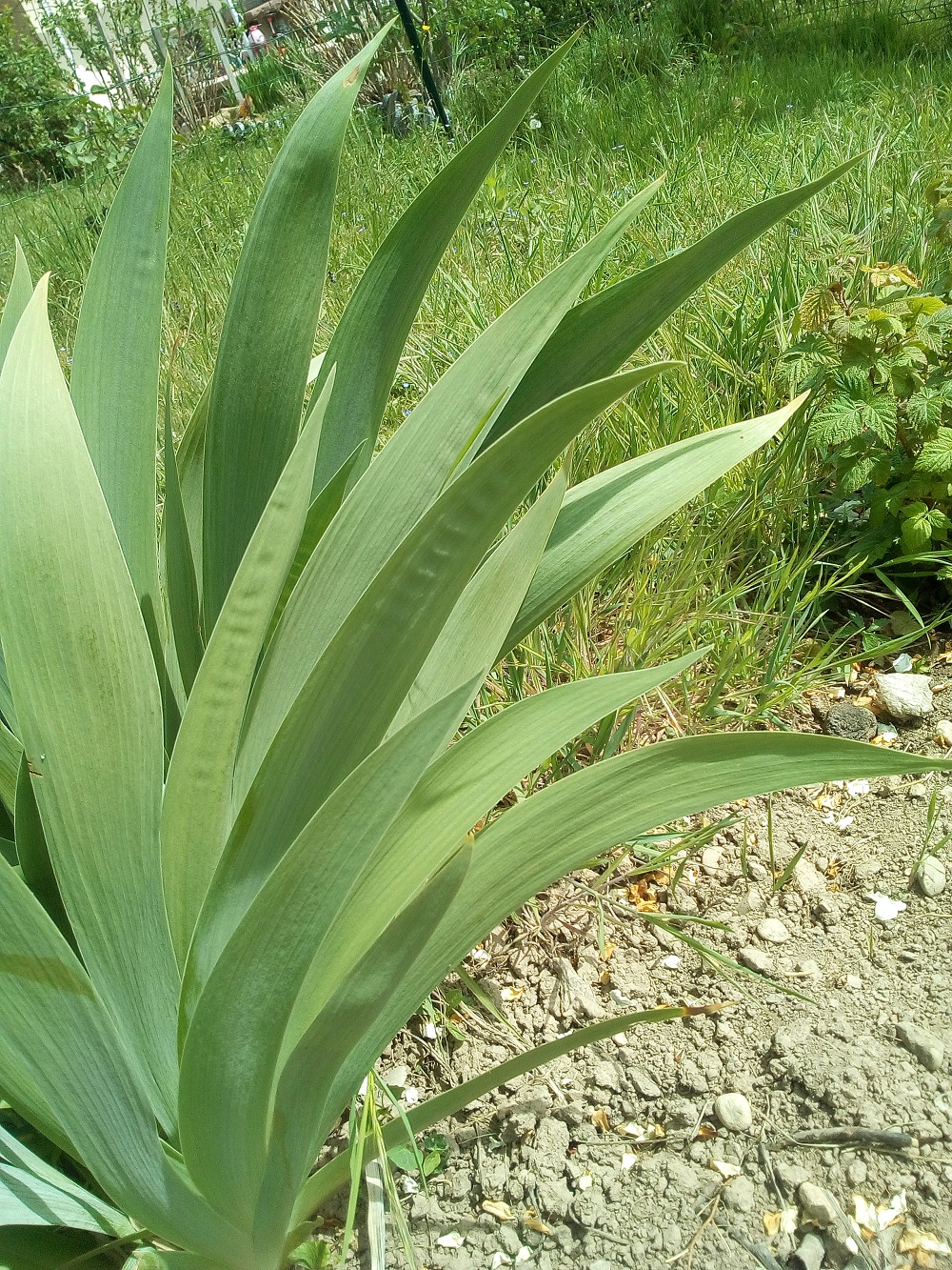 Annexe IMG_20200421_134835.jpg