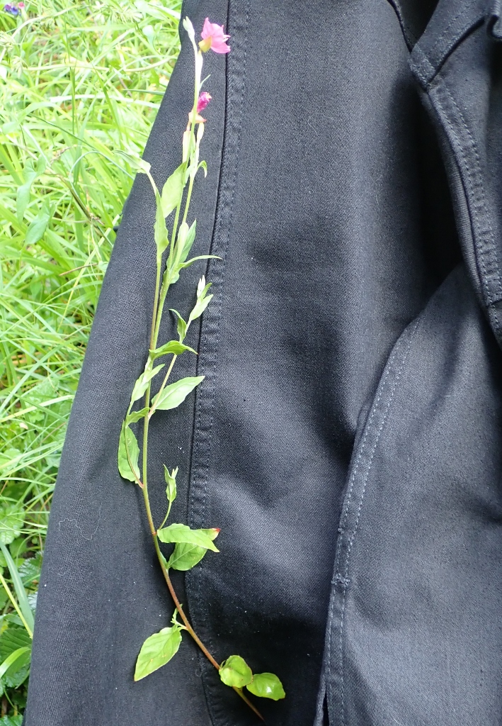 Annexe P4180585 (709x1024).jpg