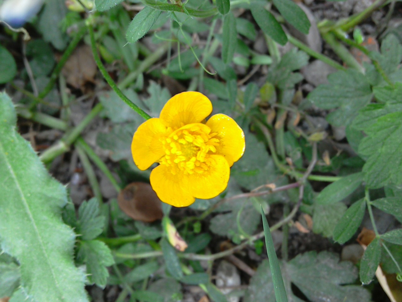 Annexe photo1 (1).jpg