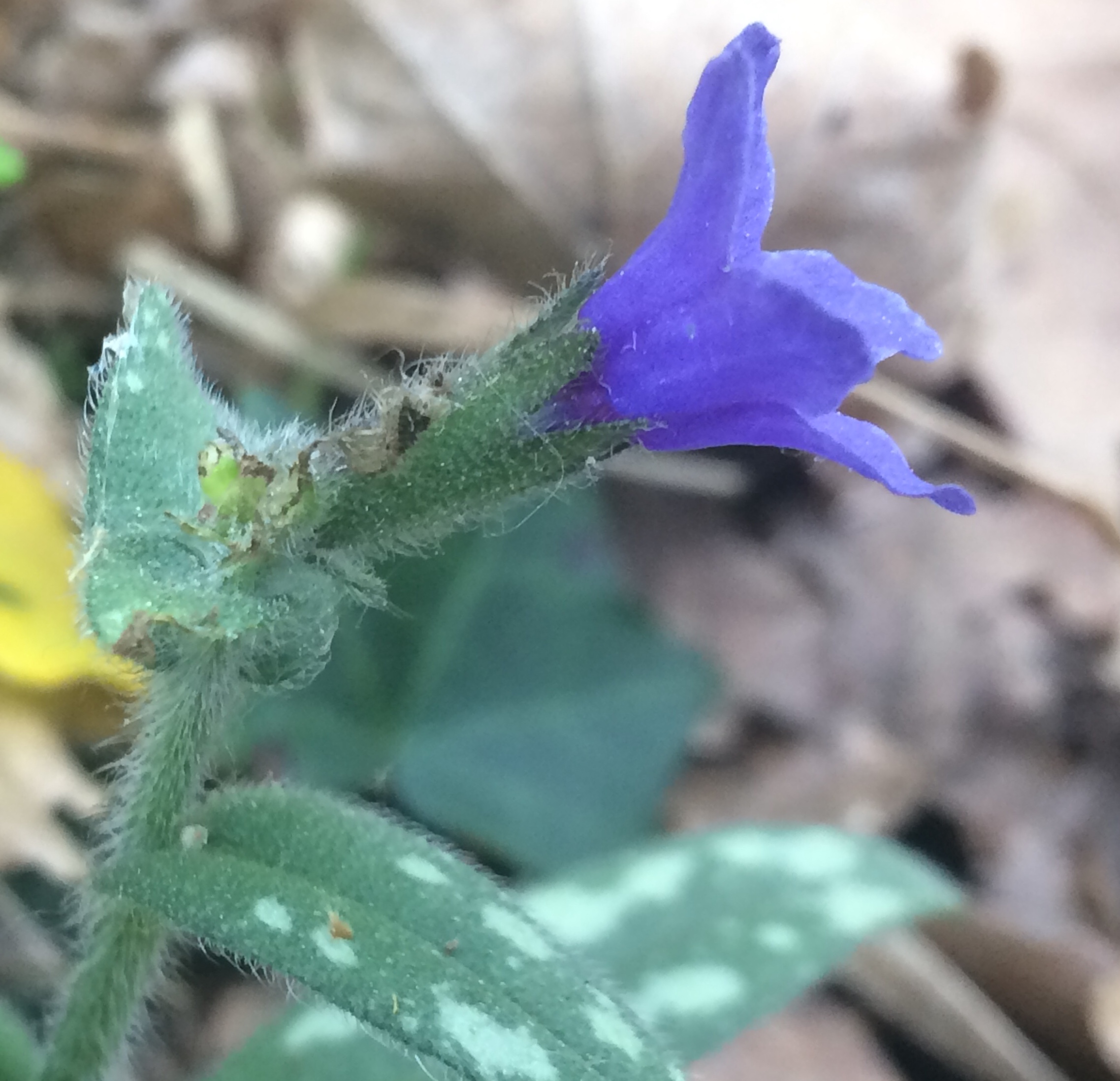 Annexe 67F4F7CE-B52D-43BC-A4EF-996057628312.jpeg