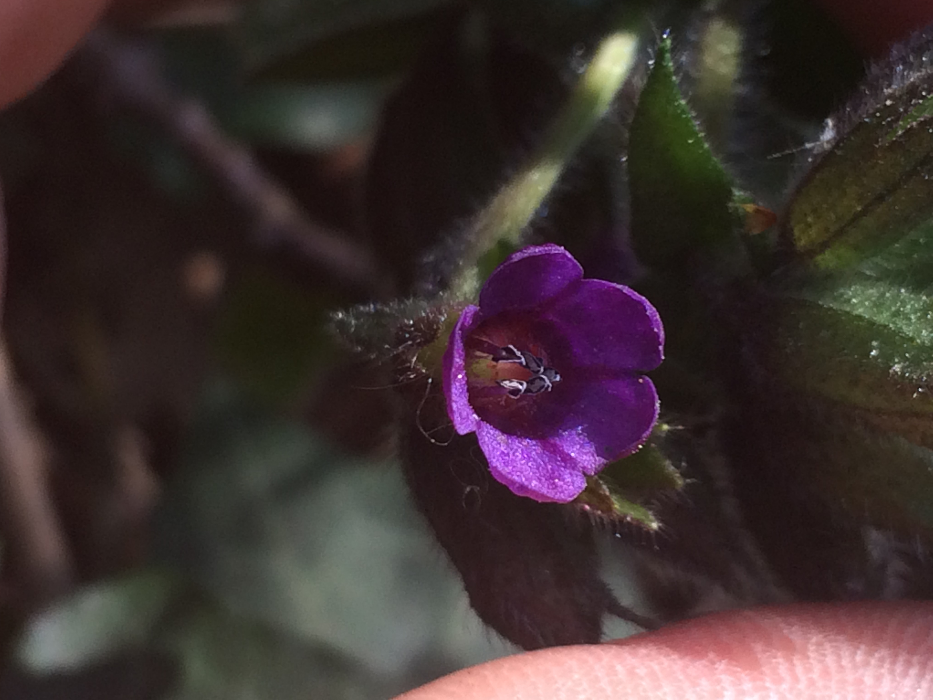 Annexe D1989C8A-6DA3-4CE2-AD82-C7F134AB0CB9.jpeg