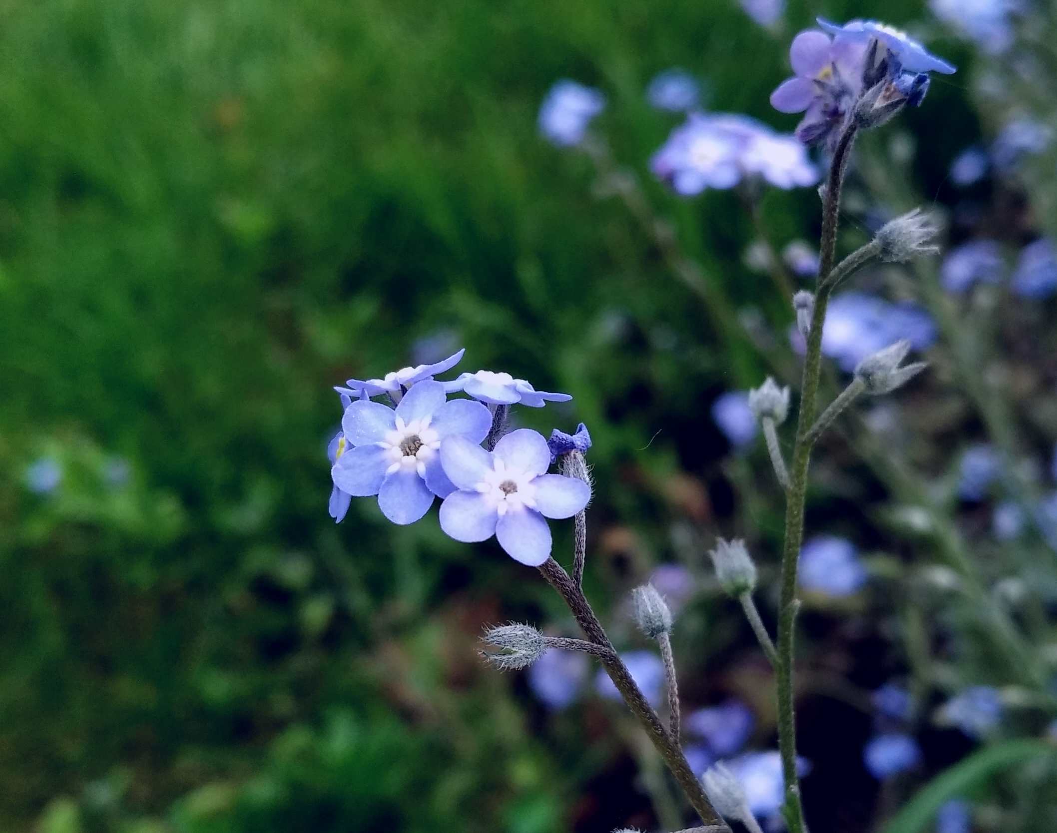 Annexe IMG_20200423_110830.jpg