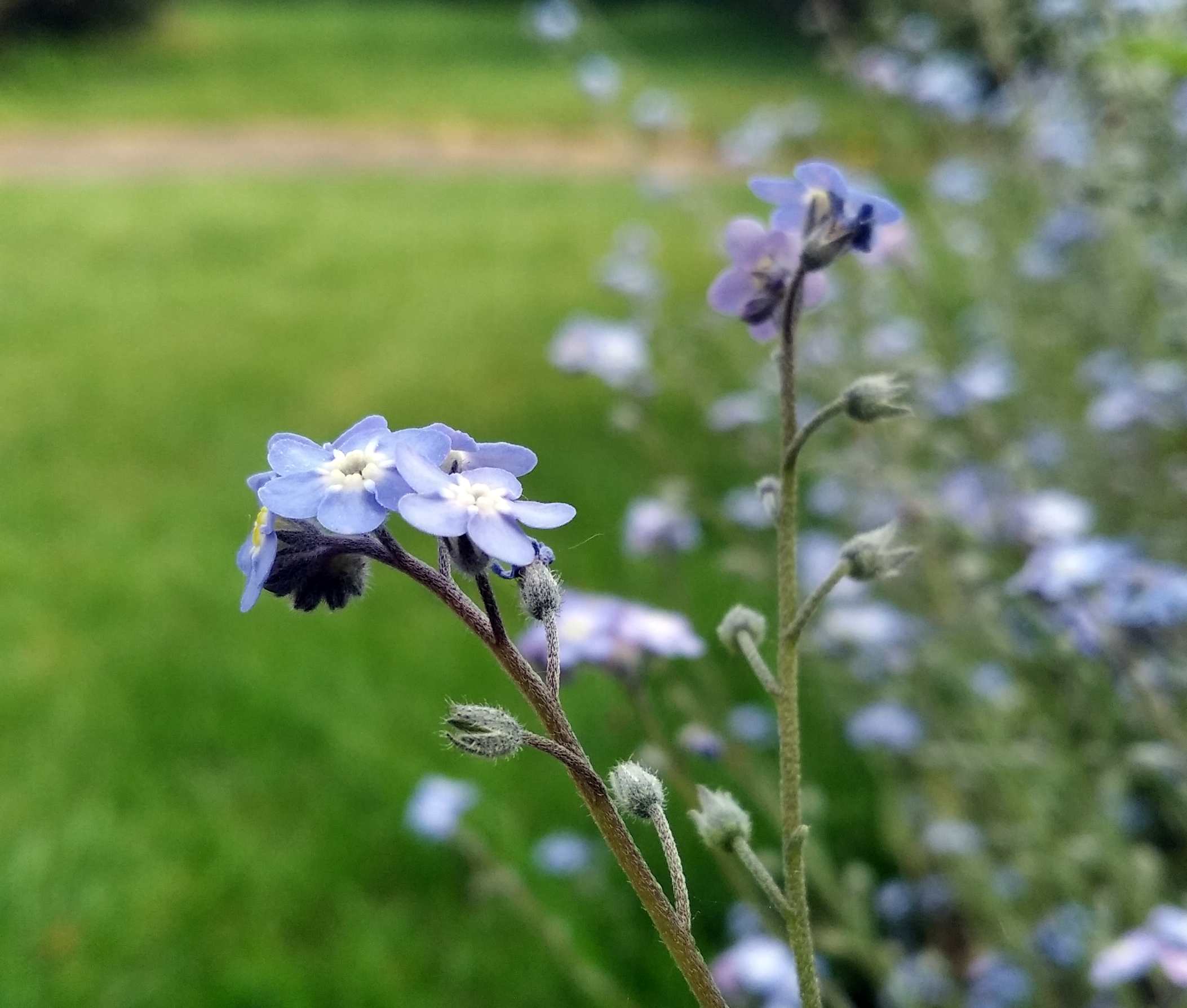 Annexe IMG_20200423_110904_1.jpg