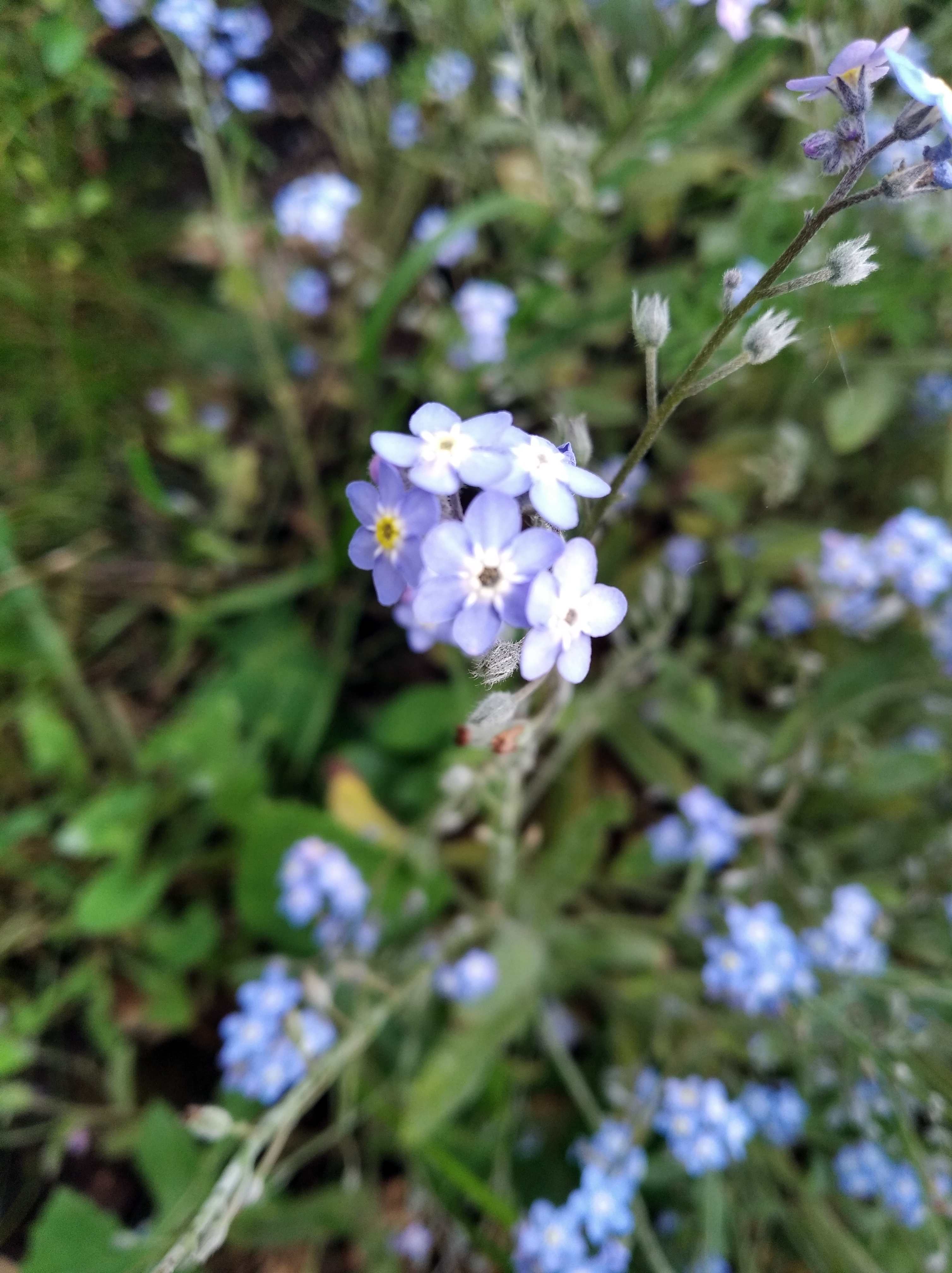 Annexe IMG_20200423_110942.jpg