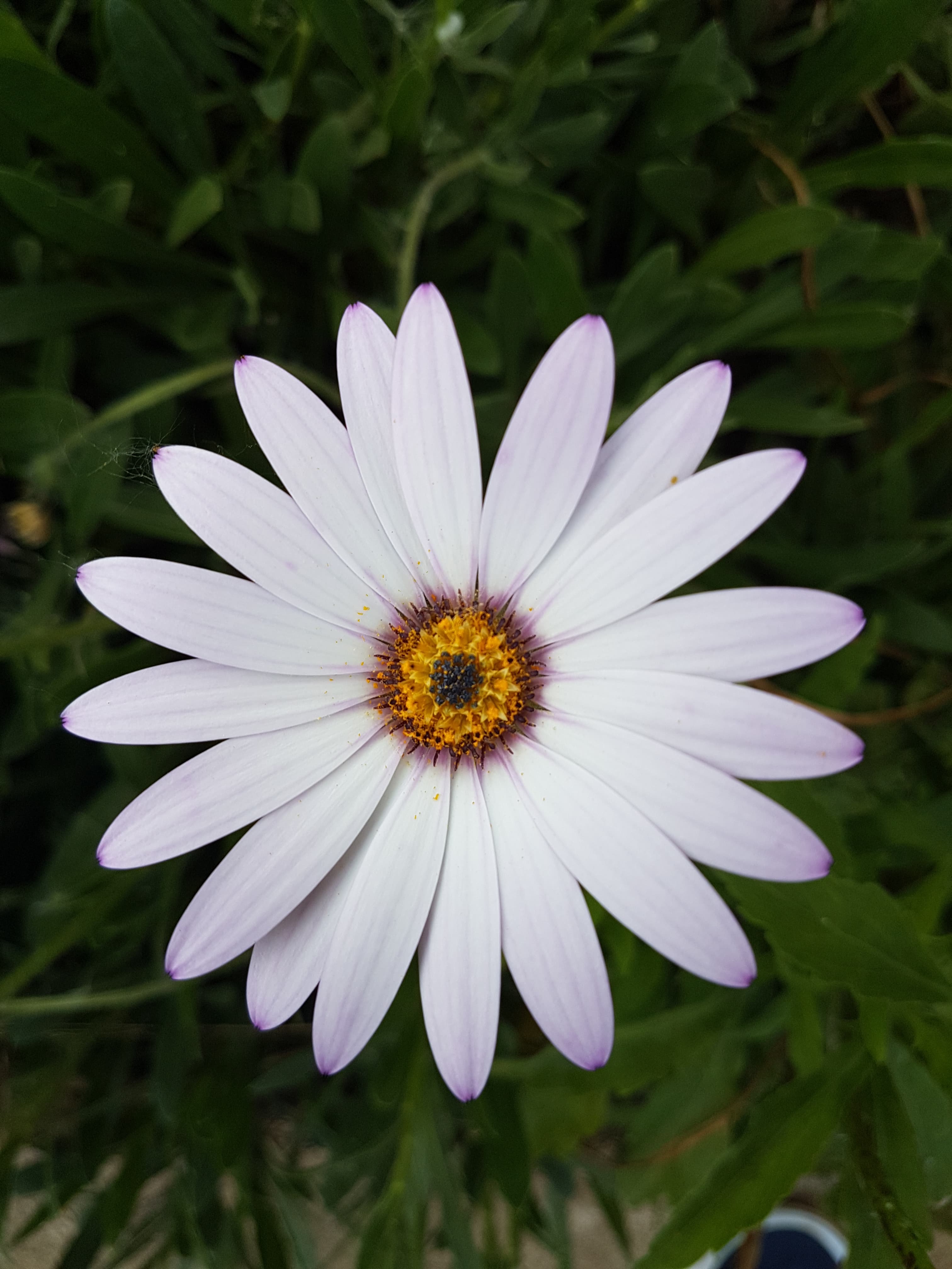 Annexe 94436015_570863036888027_4858540045449035776_n.jpg