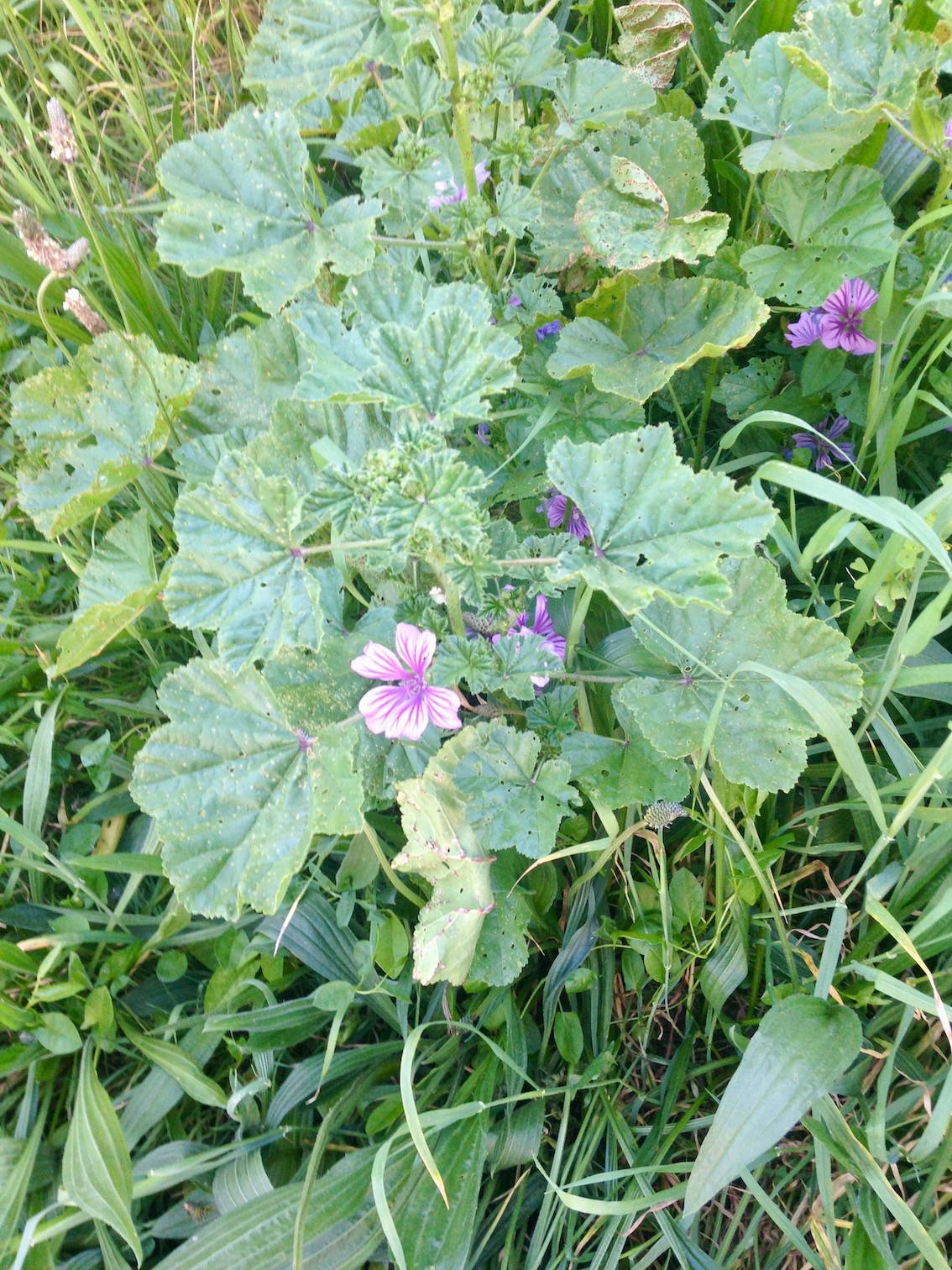 Annexe IMG_5968.jpeg