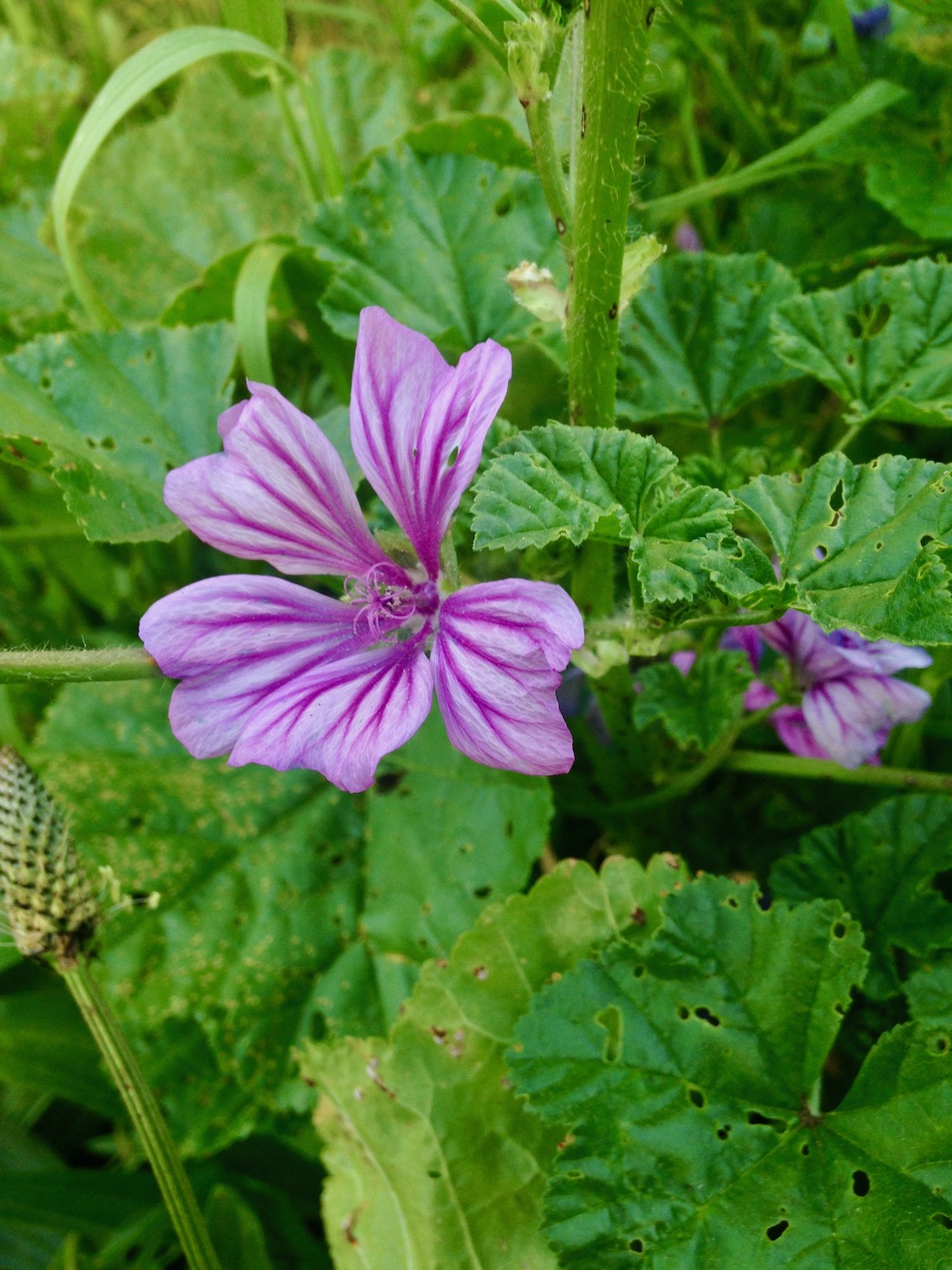 Annexe IMG_5969.jpeg