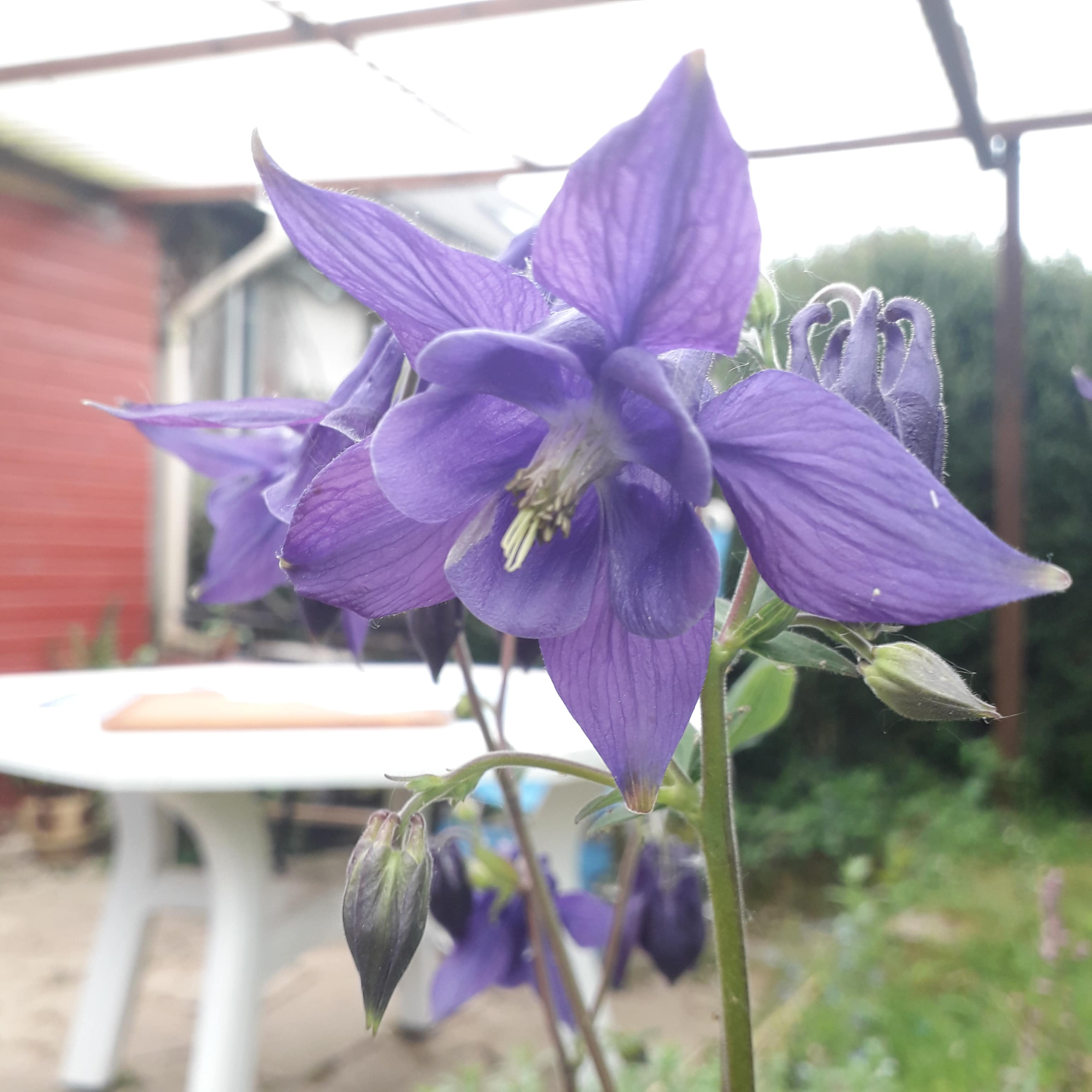 Annexe 20200424_113717-min.jpg