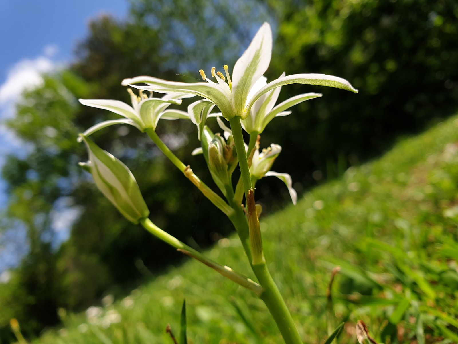 Annexe 20200424_152204.jpg