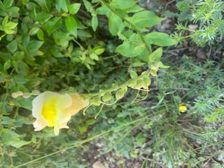 Annexe IMG_9384 (1).jpg