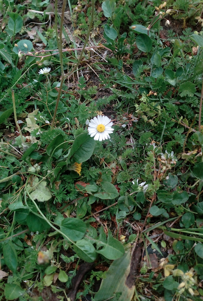 Annexe Capture d’écran 2020-04-24 à 16.36.19.png