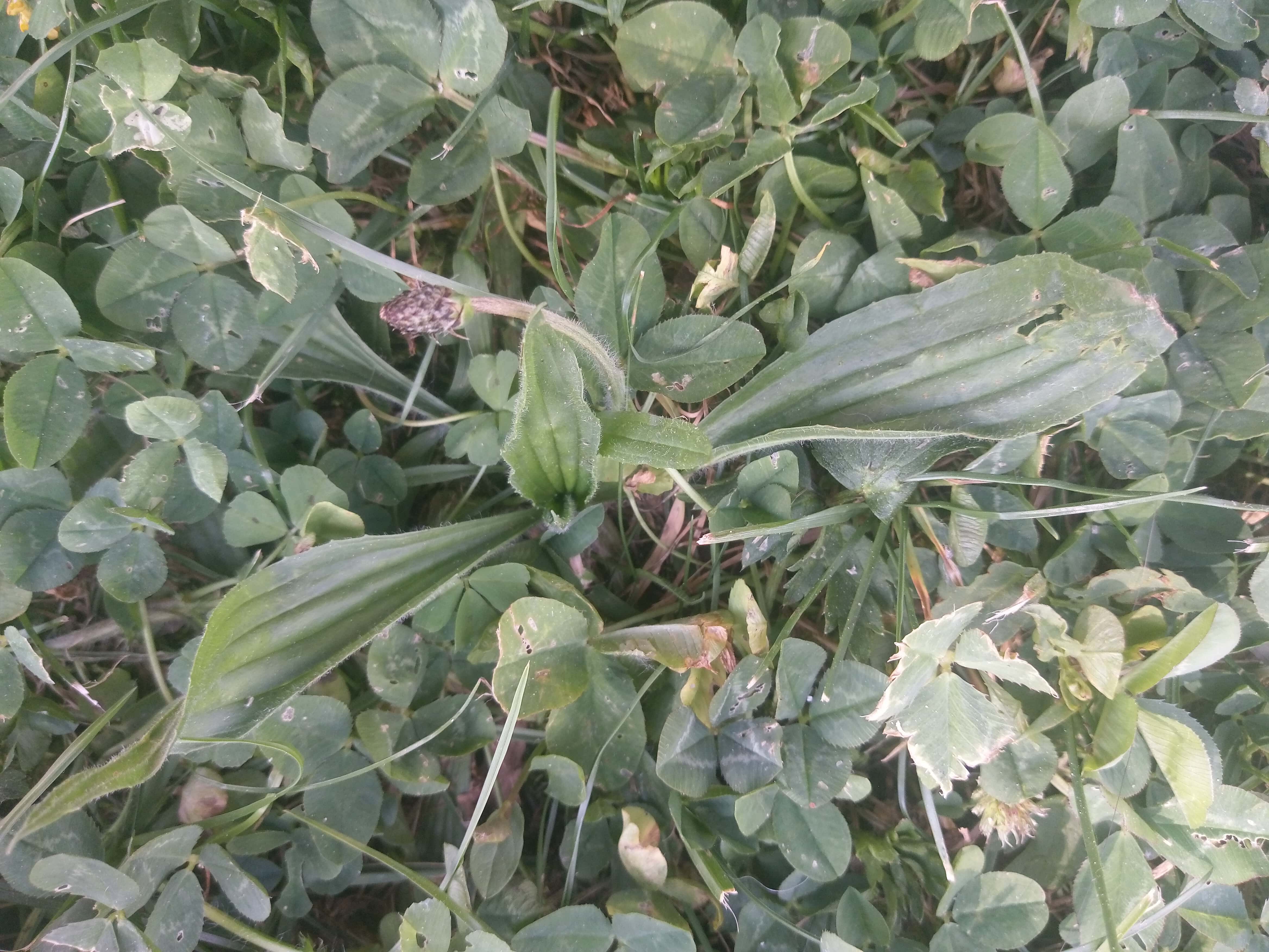 Annexe IMAG2650-min.jpg