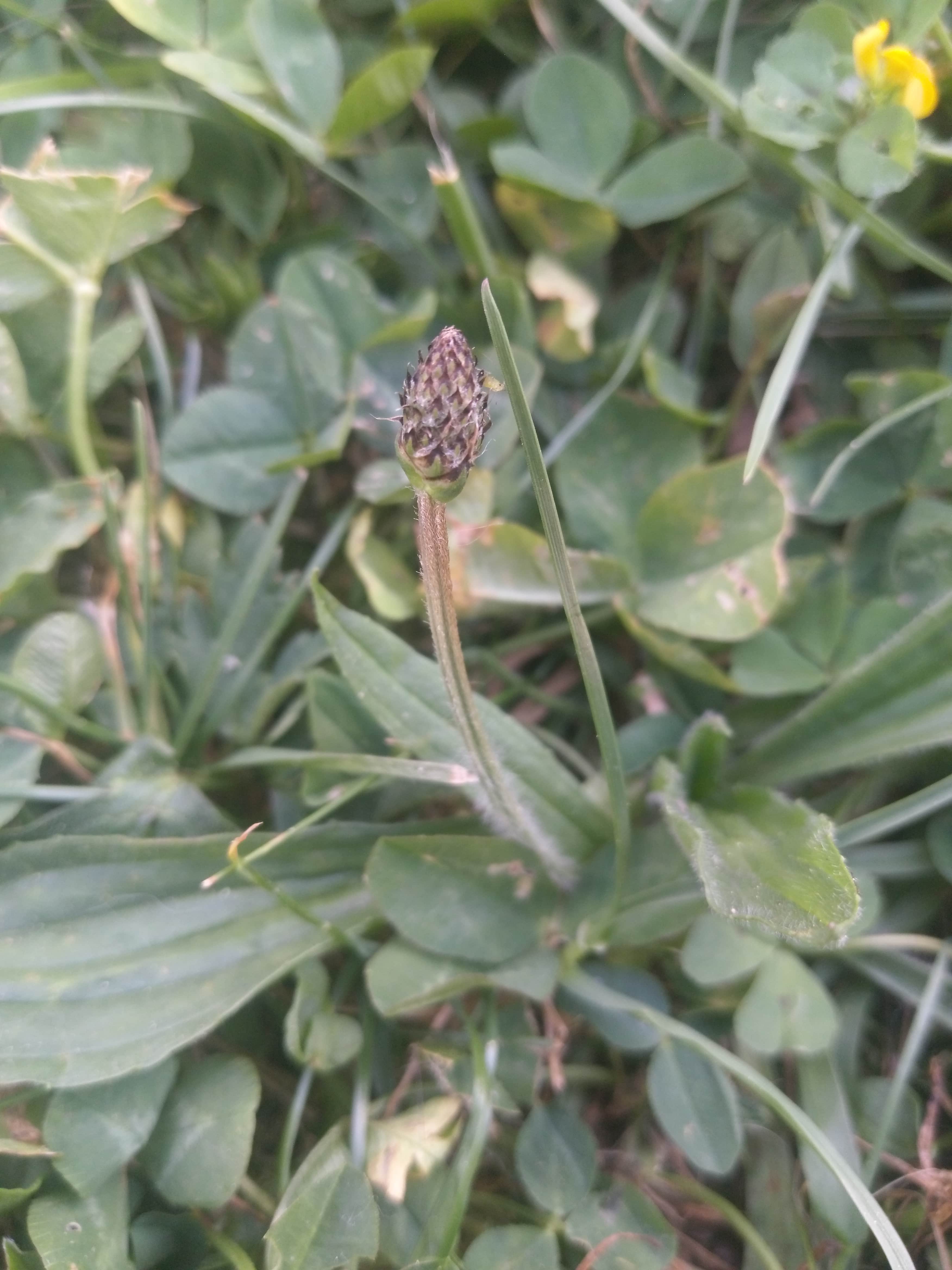 Annexe IMAG2651-min.jpg