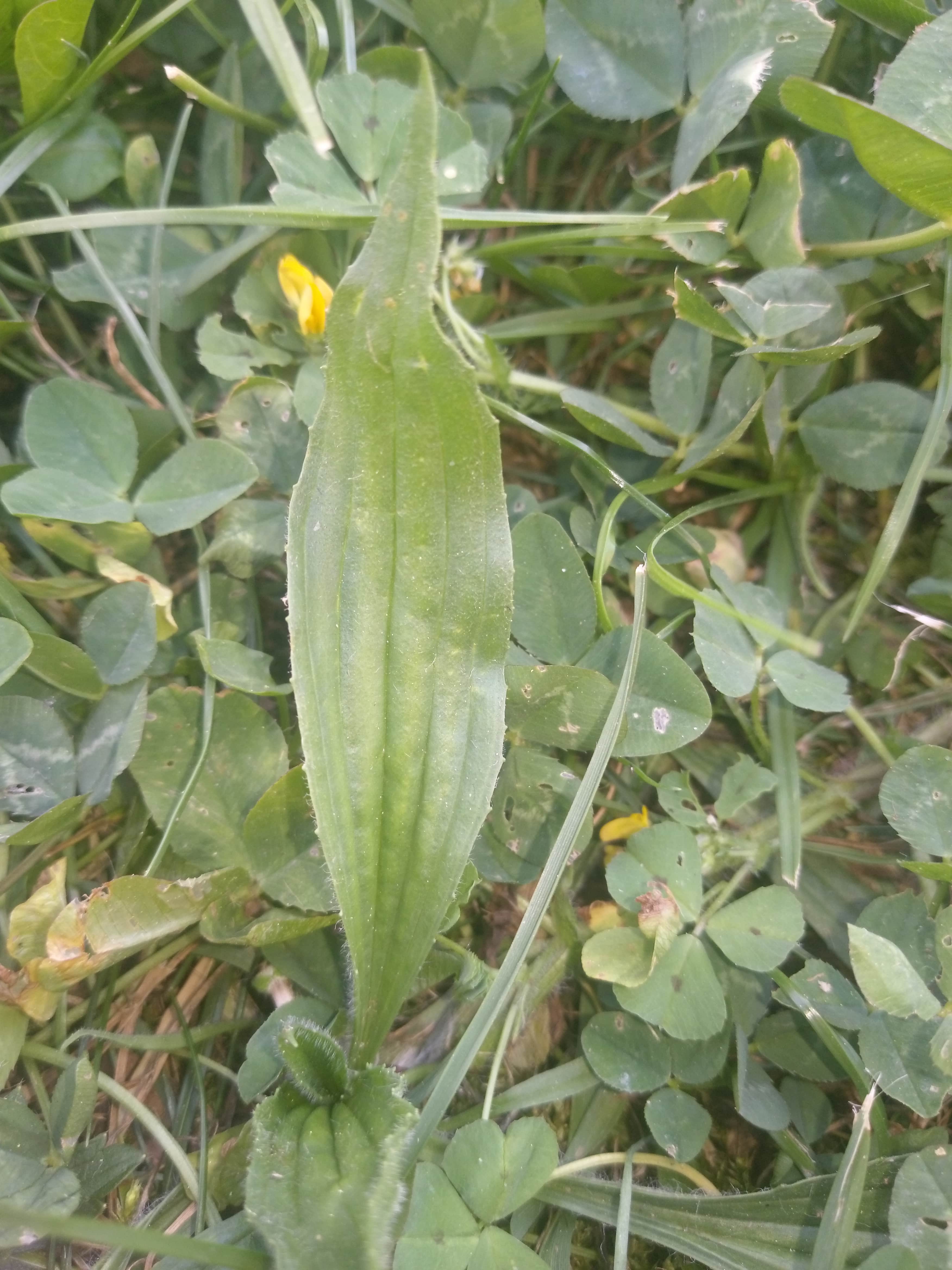 Annexe IMAG2652-min.jpg