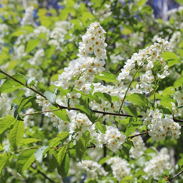 Annexe 94292033_320922502214128_8387937263024839127_n.jpg