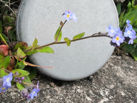 Annexe IMG_20200425_163404.jpg