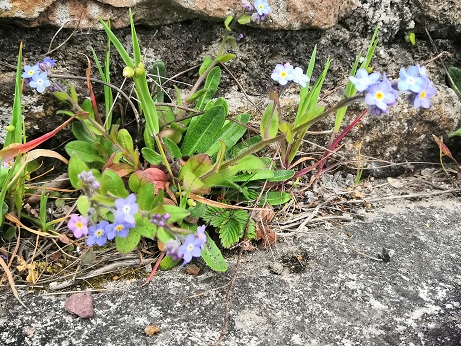 Annexe IMG_20200425_163412.jpg