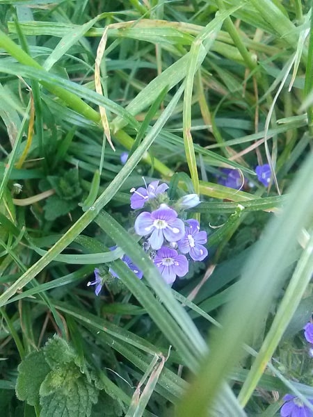 Annexe 94889581_242187370479735_7198757267070517248_n.jpg