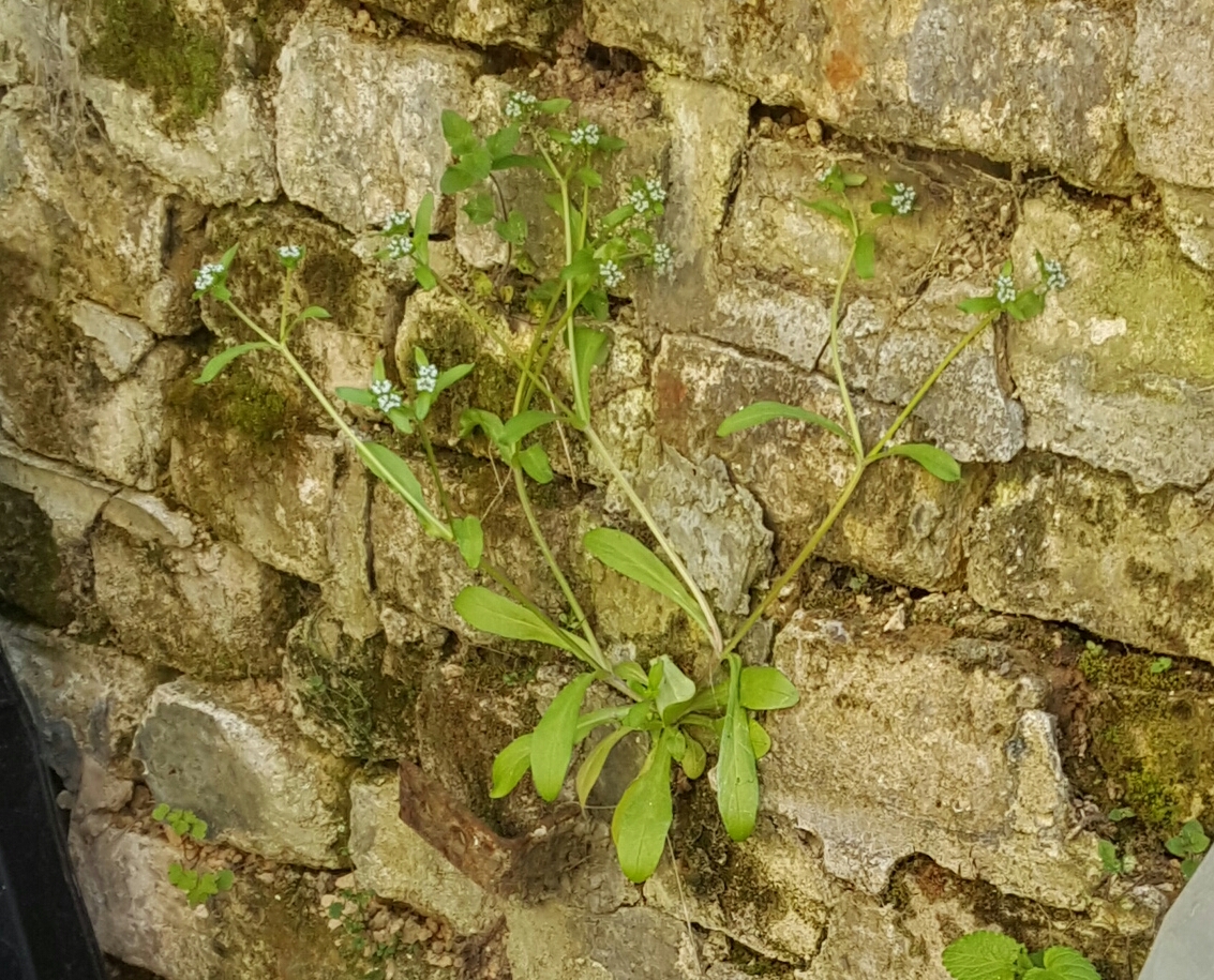 Annexe 20200426_170923-1.jpg