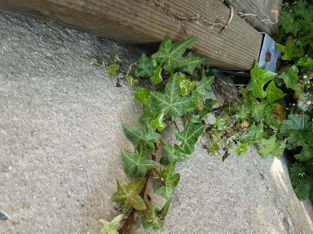 Annexe rps20200426_215340.jpg