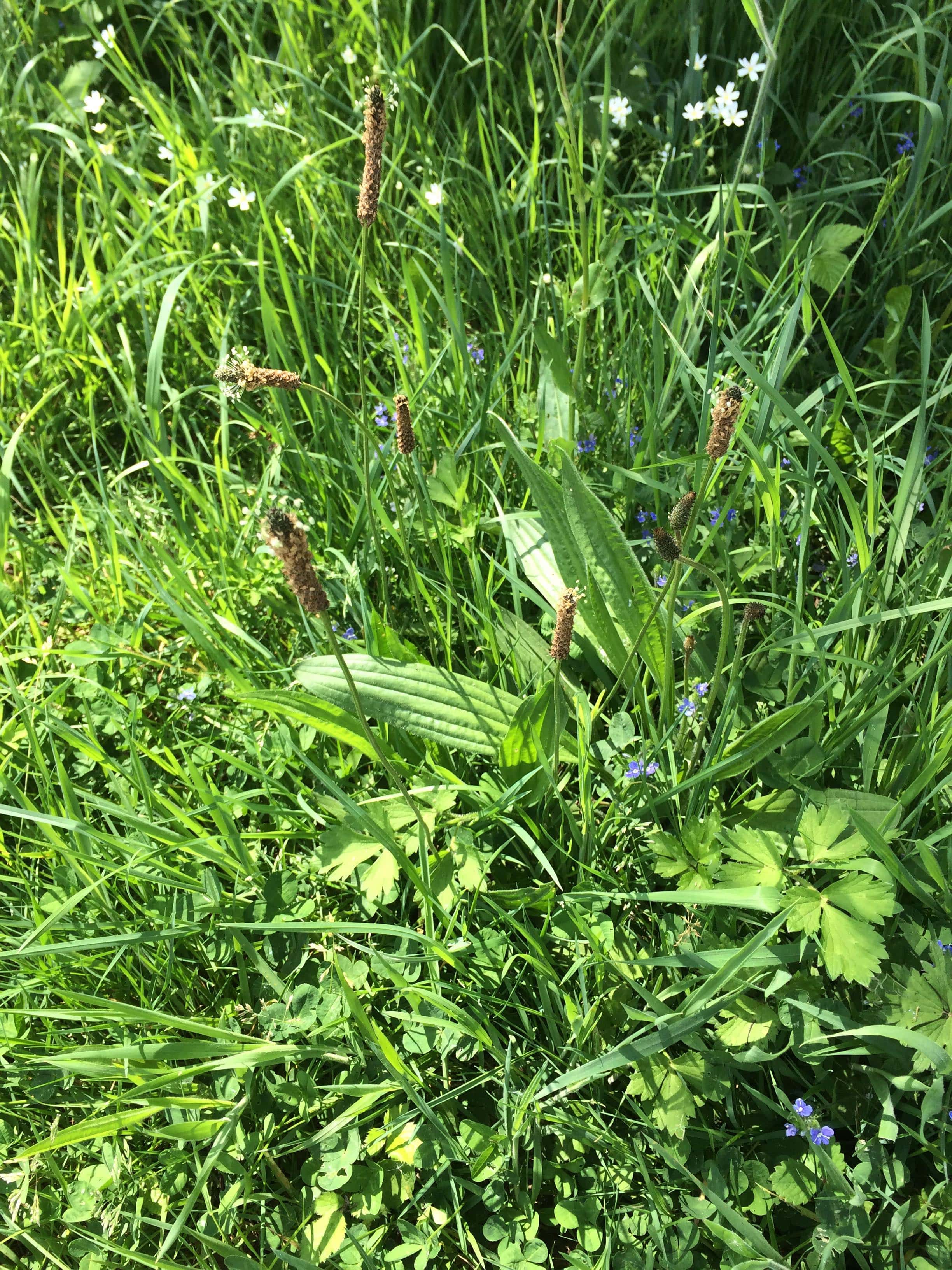 Annexe photo-min.jpg