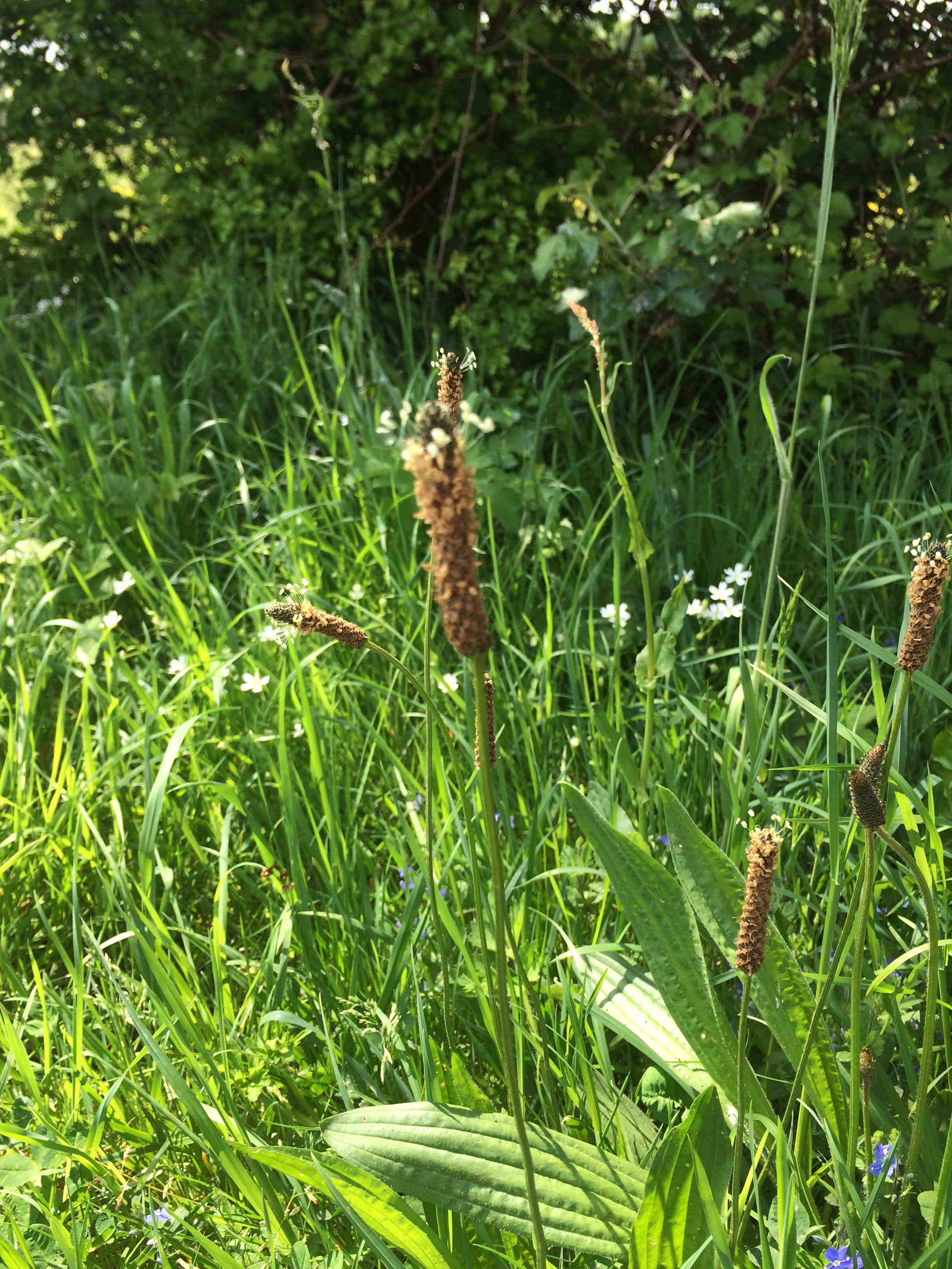 Annexe photo2-min.jpg