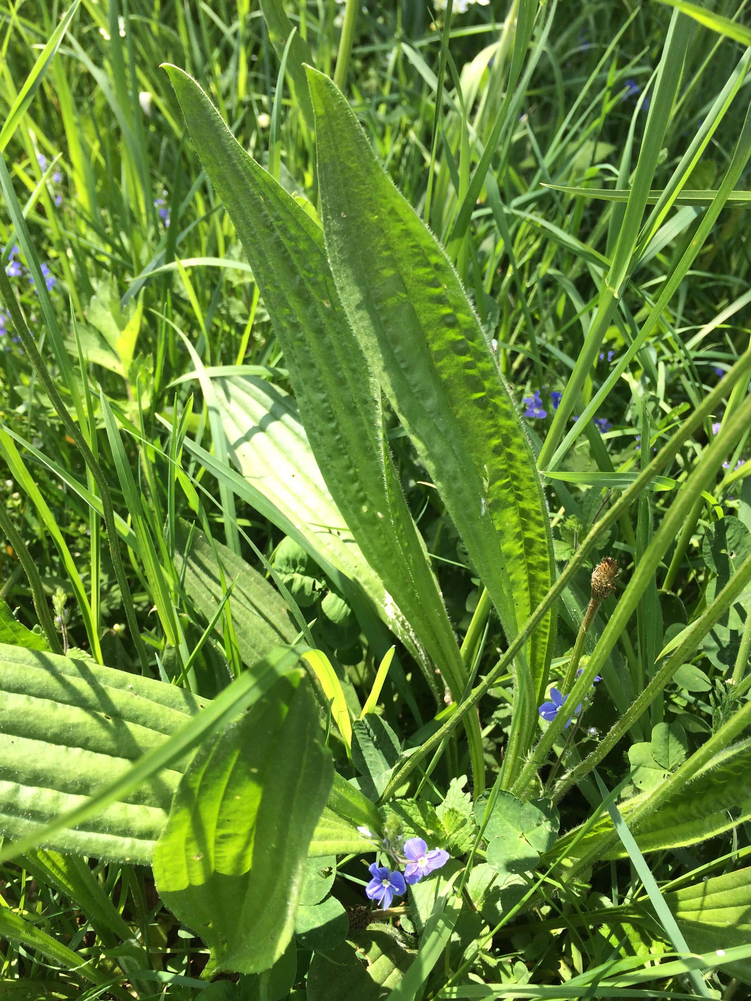 Annexe photo3-min.jpg