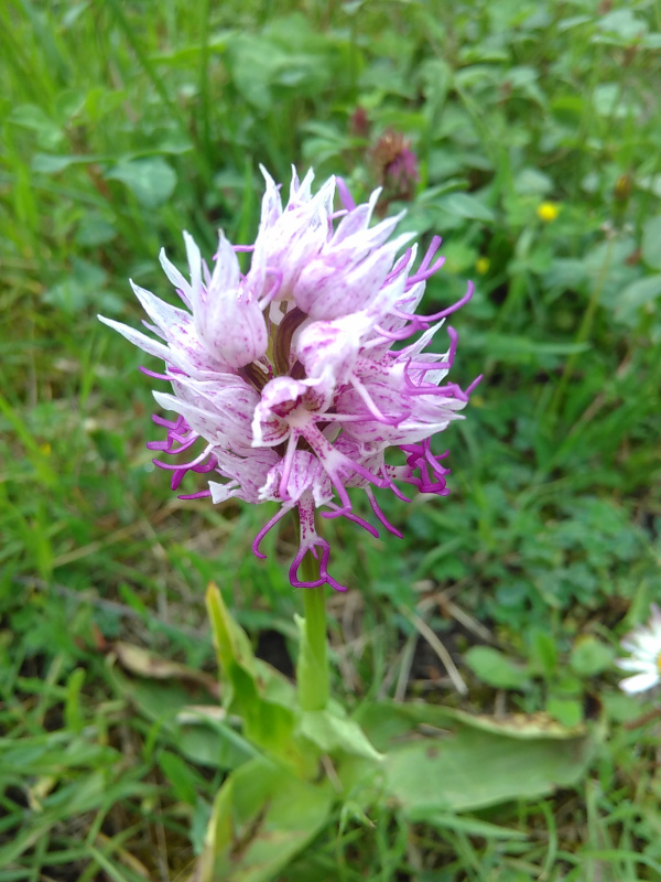 Annexe IMG_20200427_165748.jpg