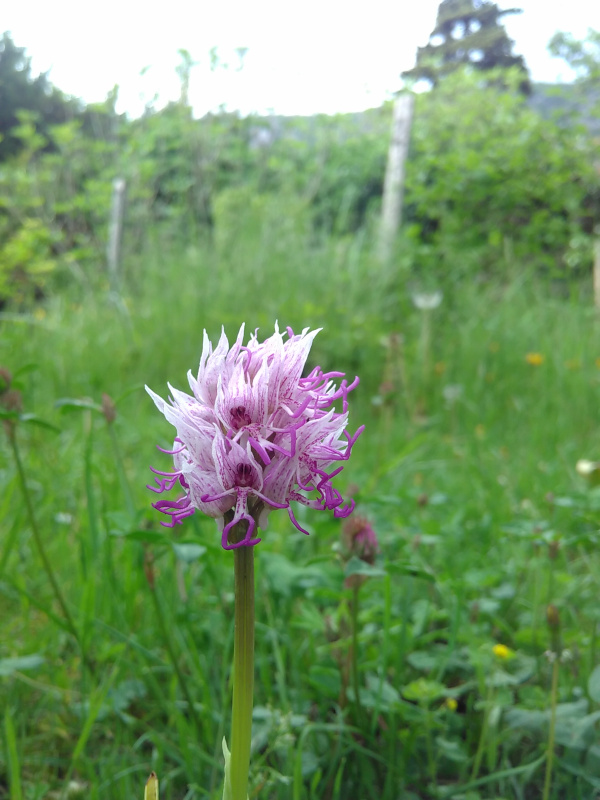 Annexe IMG_20200427_165756.jpg