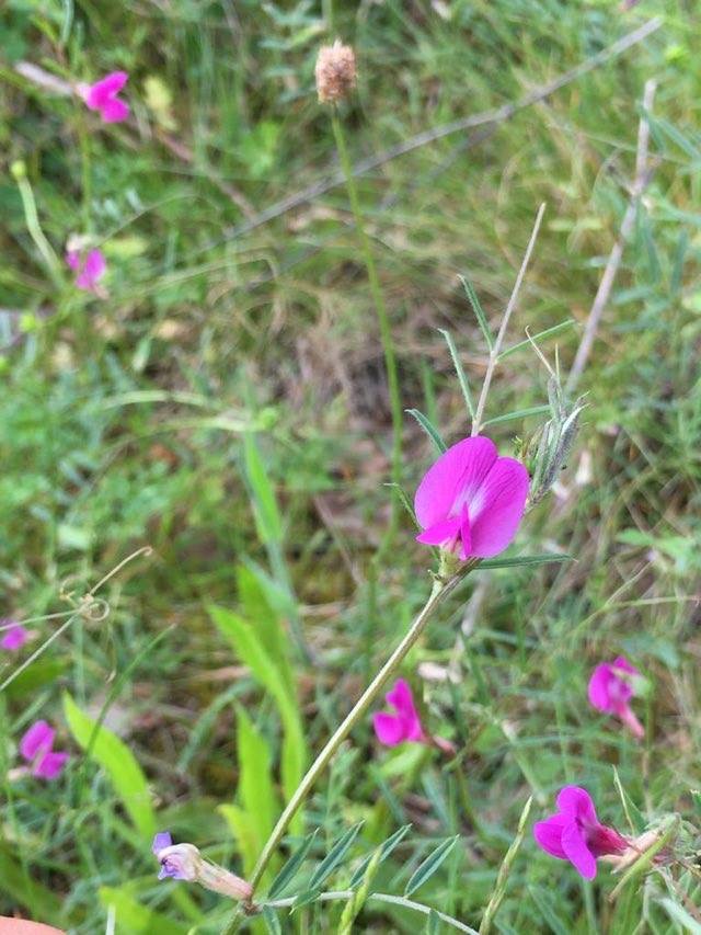 Annexe Paparazzi (1).jpeg