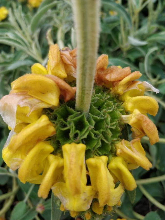 Annexe IMG_20200427_193309.jpg