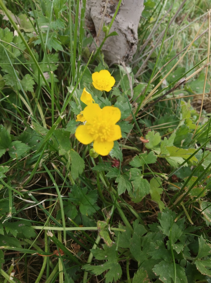 Annexe IMG_20200428_130723.jpg