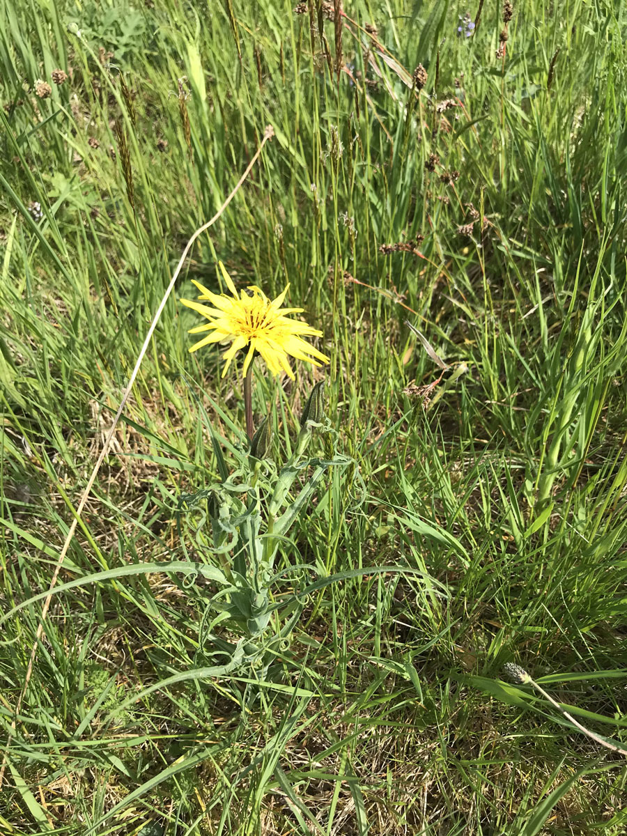 Annexe IMG_0956-web.jpg