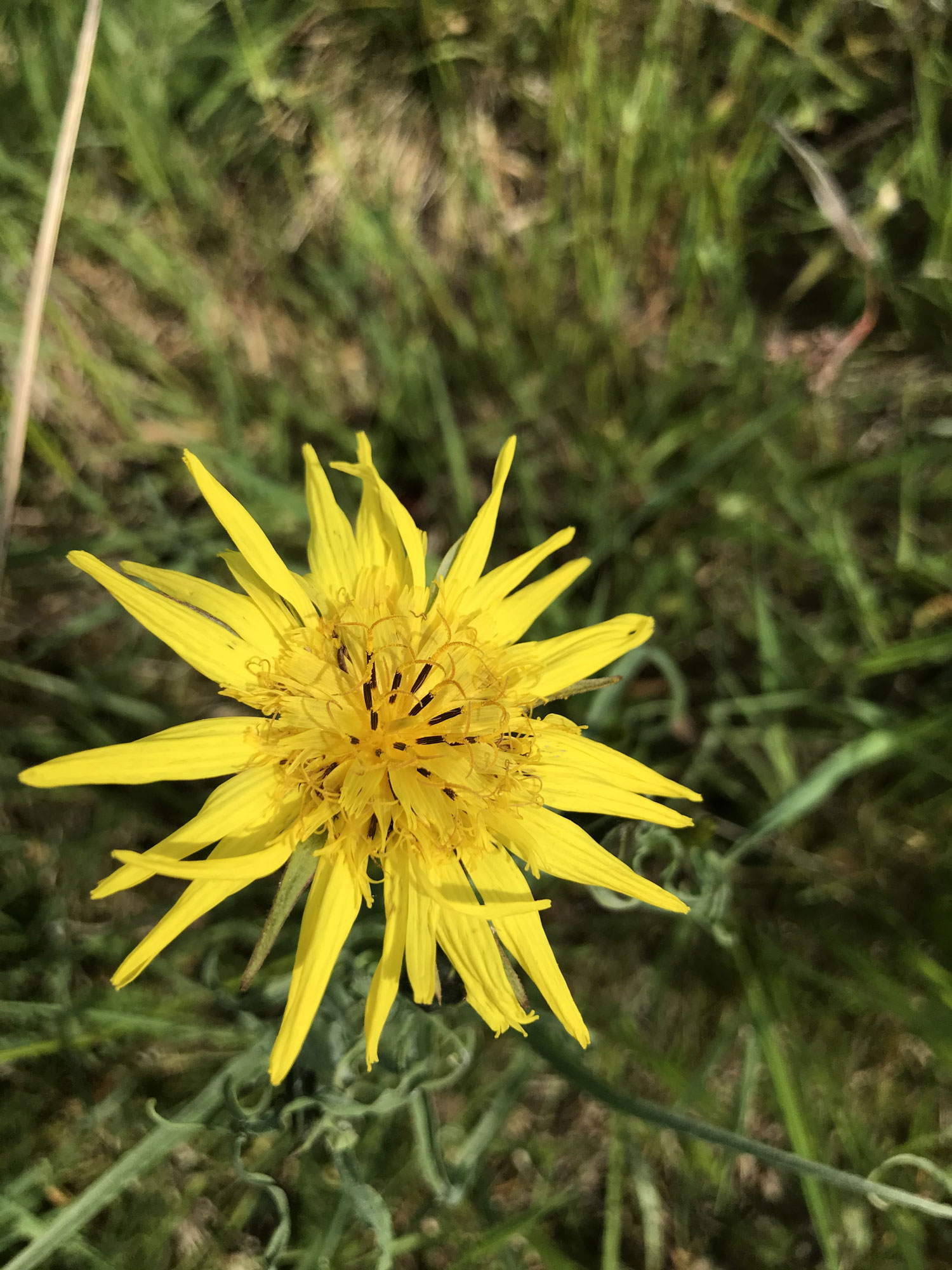 Annexe IMG_0957-web.jpg