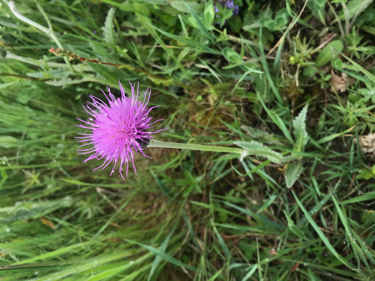 Annexe IMG_8090.jpeg