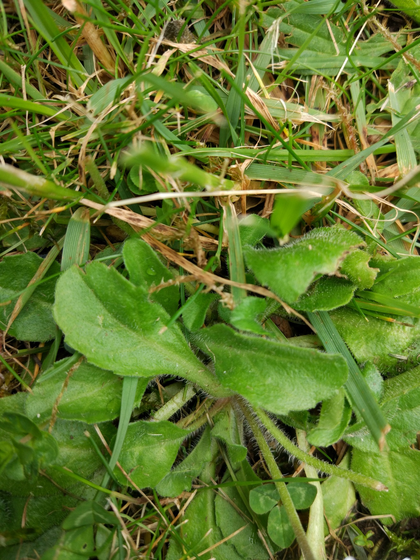 Annexe IMG_20200429_143820.jpg