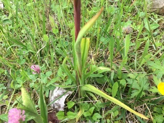 Annexe 6CCE48D3-E0C3-4560-9FA2-5179348BB478.jpeg