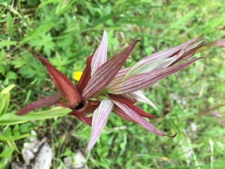 Annexe DE02FBB6-E969-409A-B750-B32948B75F99.jpeg