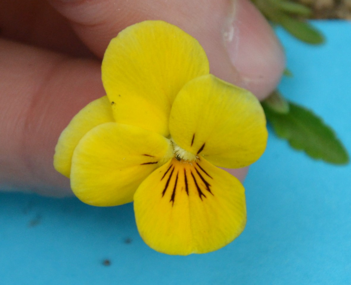 Annexe BAD_9542(2).jpg