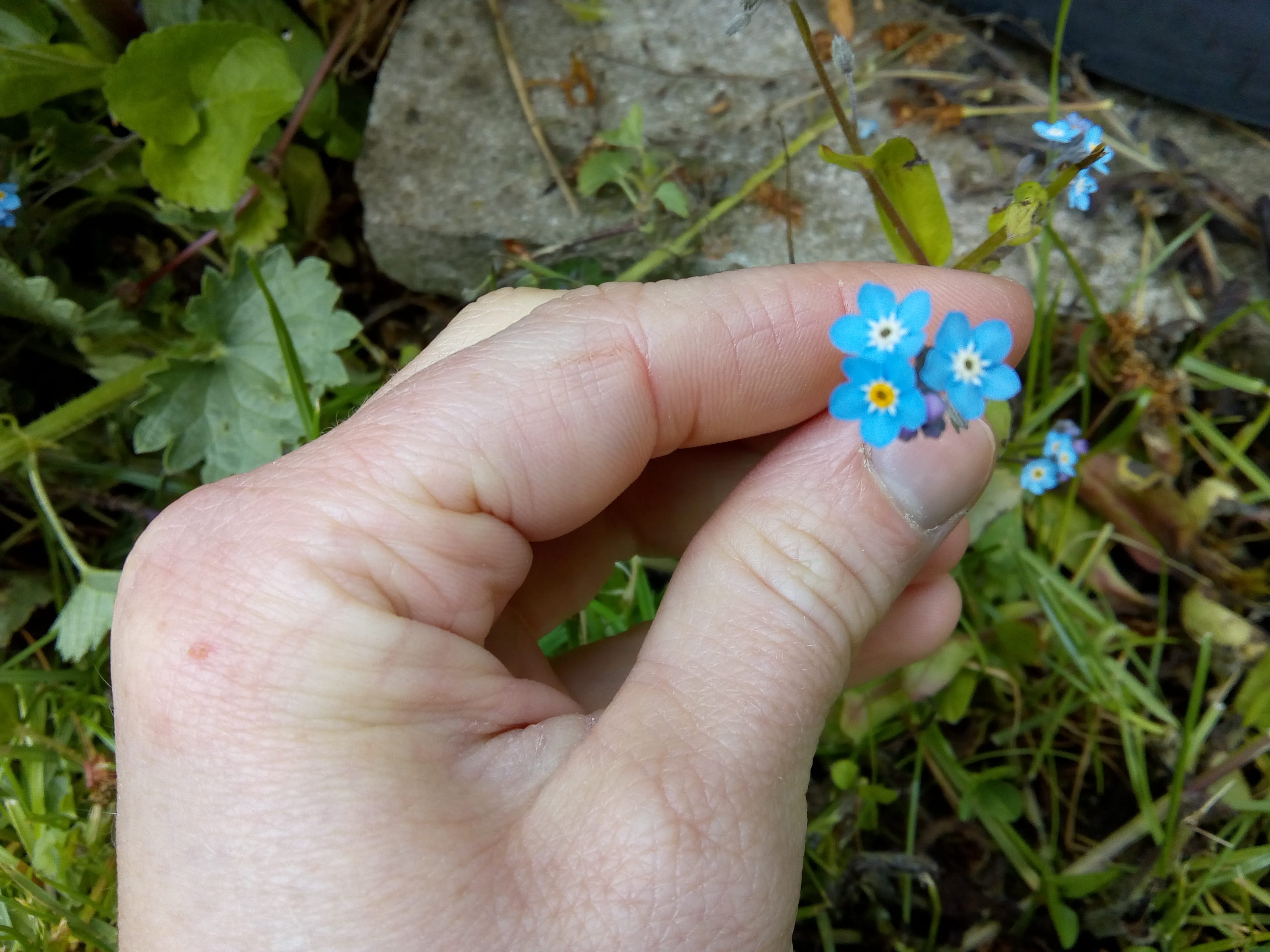 Annexe IMG_20200430_124122572-min.jpg