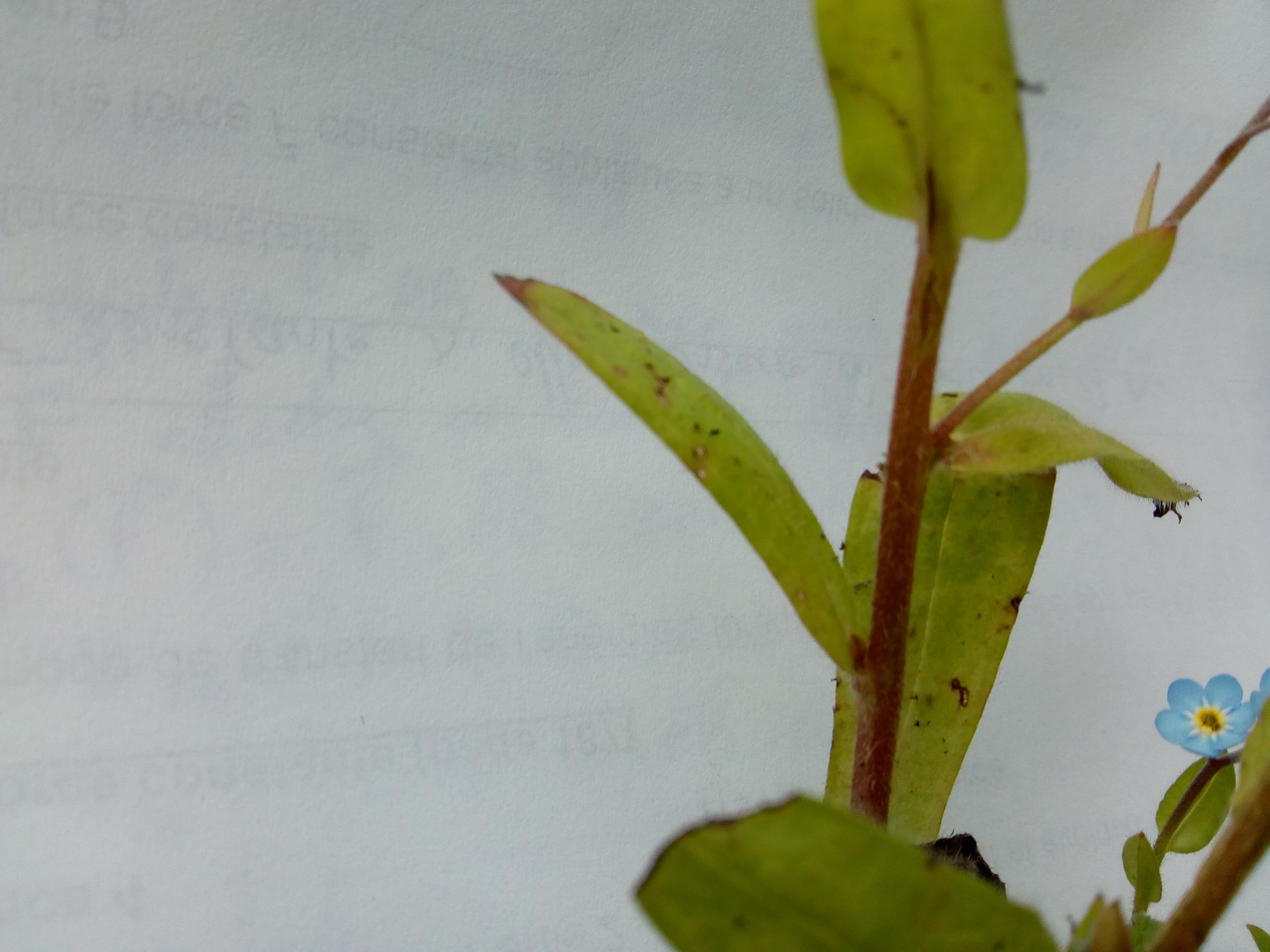 Annexe IMG_20200430_124239193-min.jpg