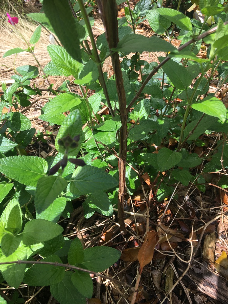 Annexe 478316C5-B1B5-4961-8AC2-A9810E47836E_1_105_c.jpeg