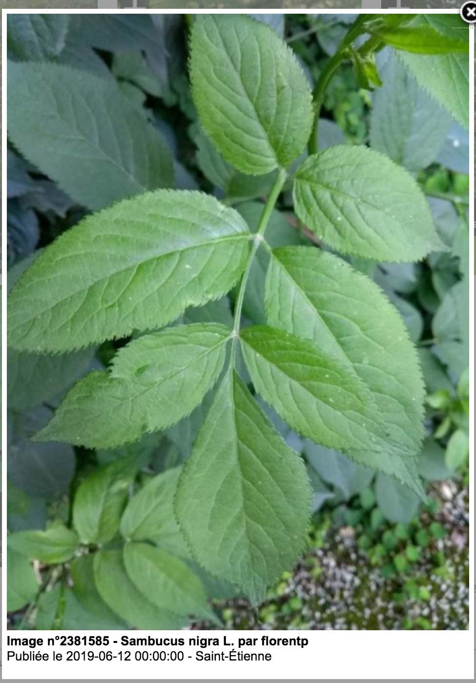 Annexe Screen Shot 2020-04-30 at 16.42.16.jpg