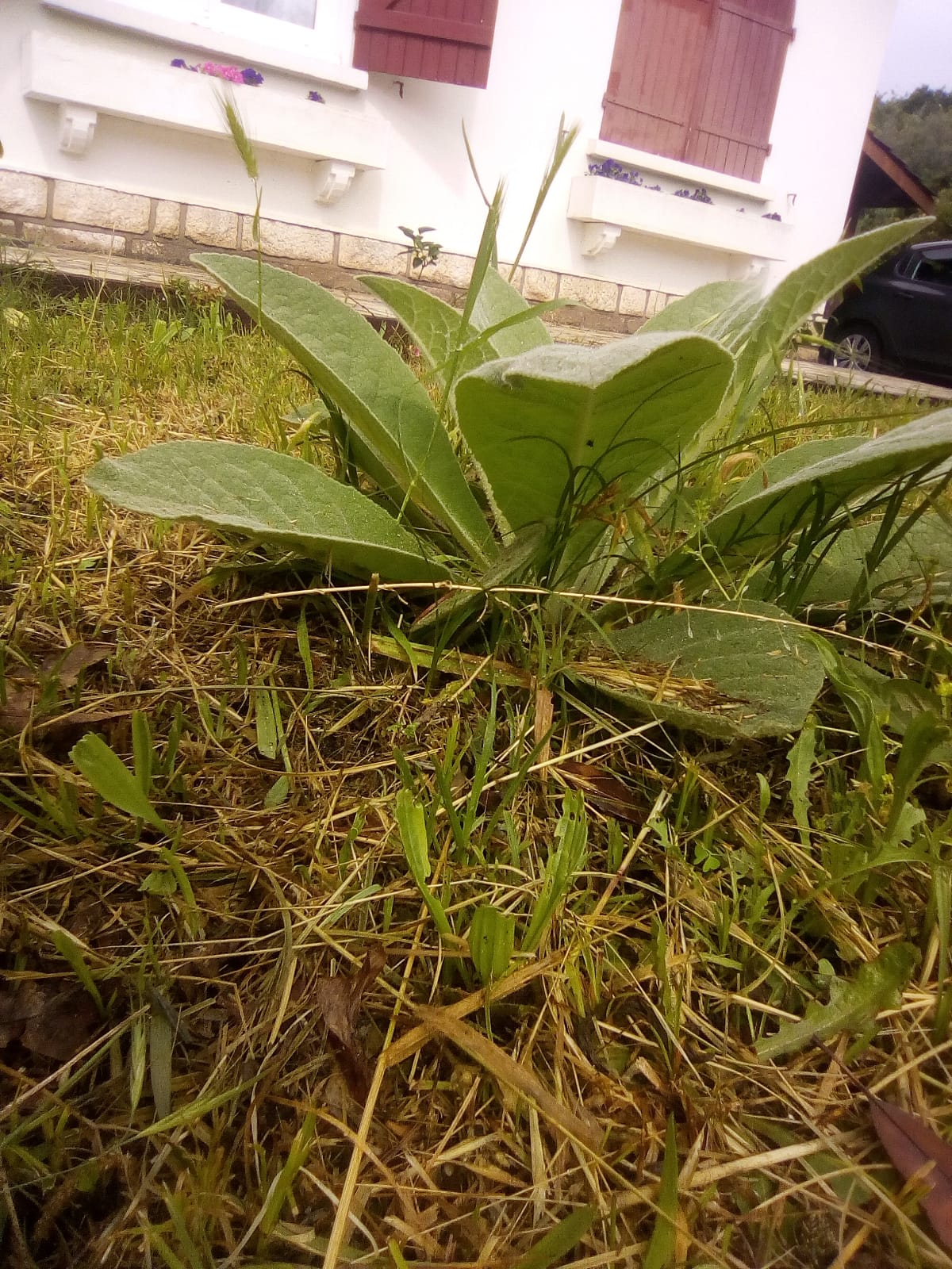 Annexe IMG-20200430-WA0011.jpg