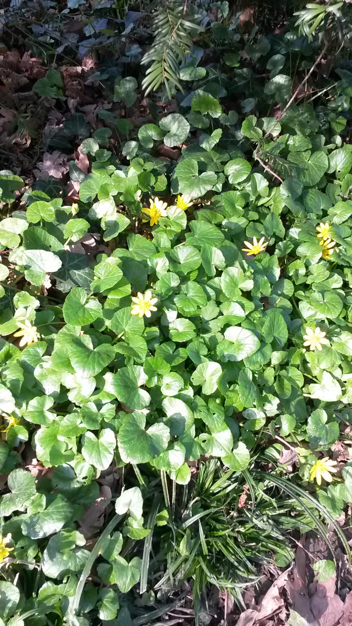 Annexe Unknown-1.jpeg