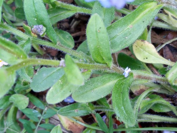 Annexe 20200502_152722.jpg