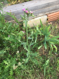 Annexe Entière 2.JPG