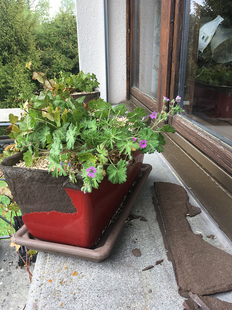 Annexe planteentierel.jpg