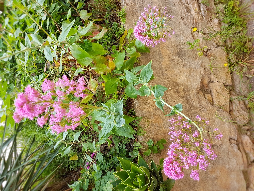 Annexe général.jpg